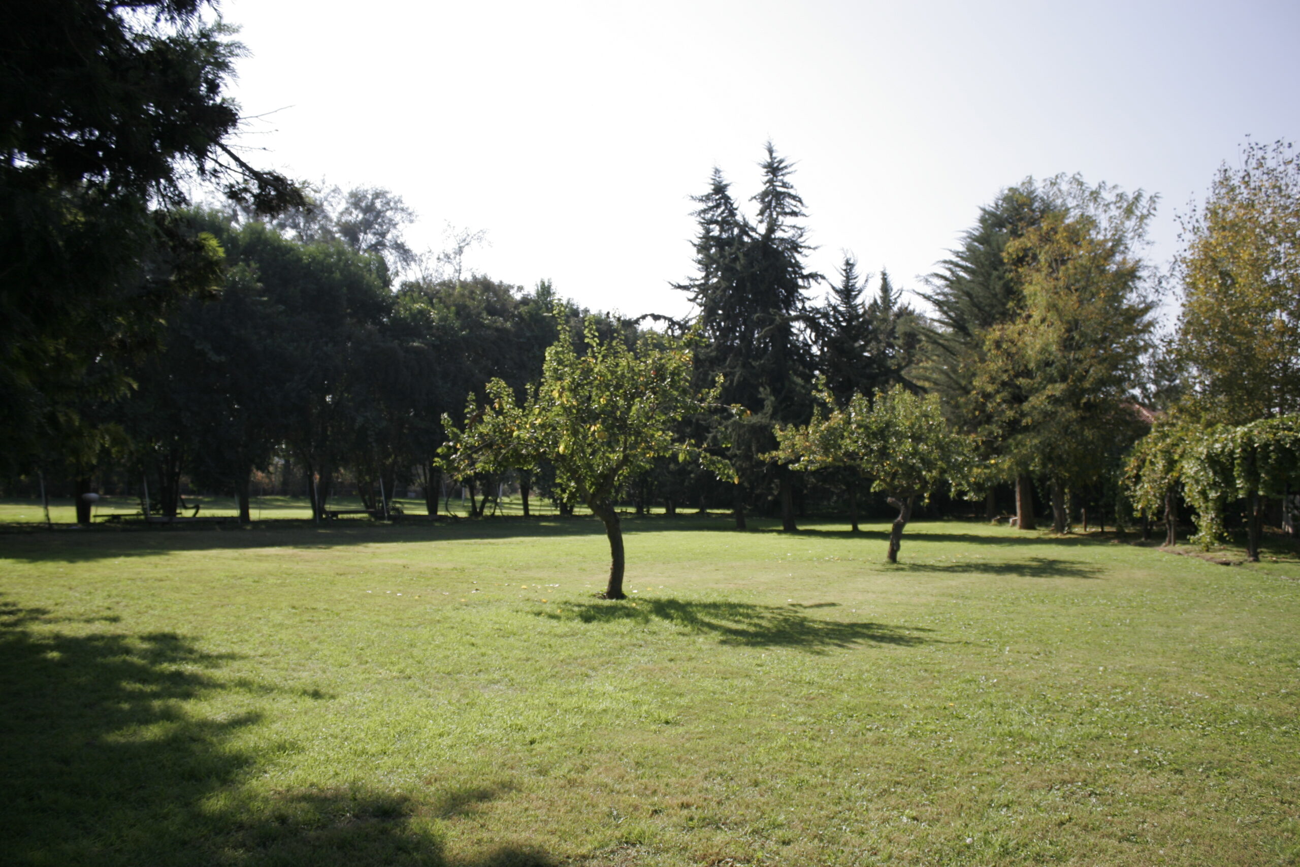 malloco (103)